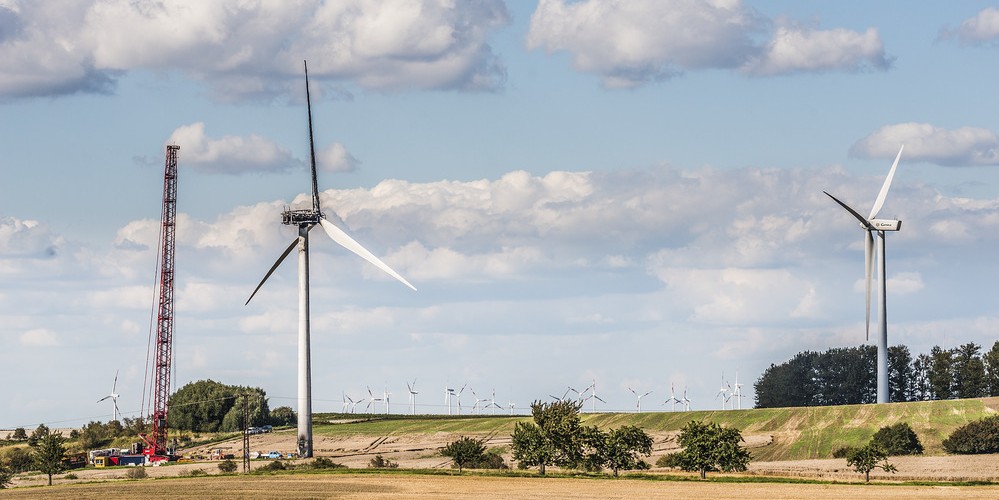 Quelle: Andr&eacute; Kunzelmann/UFZ